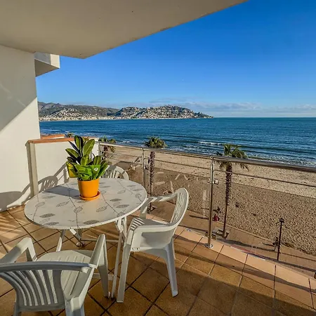 Europa 43 Ρόζες